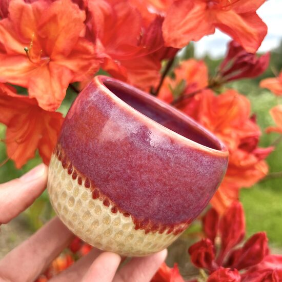 Stoneware Tumblers Set